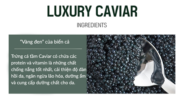 Bergamo Luxury Caviar Wrinkle Care Cream chứa chiết xuất trứng cá tầm